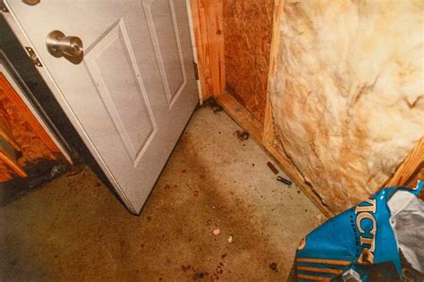 maggie murdaugh’s autopsy photo spread on the internet|Alex Murdaugh trial: Autopsy photos shown, and witnesses paint。